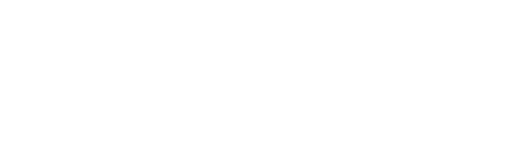 Fenix4life insurance and finance